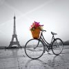 Puzzle 500 - Romantic promenade in Paris - Image 2