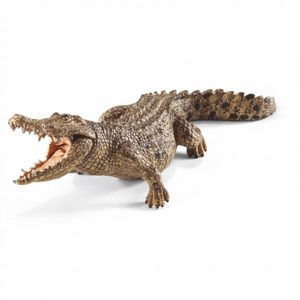 Crocodilo