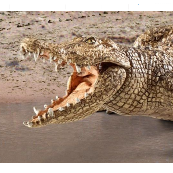 Crocodilo - Image 3