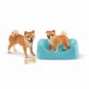 Mamã Shiba Inu e Cachorro