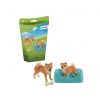 Mamã Shiba Inu e Cachorro - Image 2
