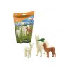 Família de Alpacas - Image 3