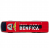 Autocarro SL Benfica - Image 5