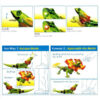 DIY Lizard - Self-assembly induction lizard - Image 4